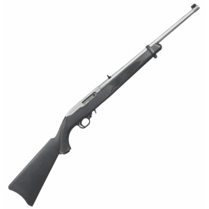 Ruger 10/22